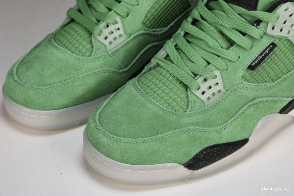 Duck  Jordan PE 4 Green AJ4-904284  AJ4-904284 Air Oregon 1026